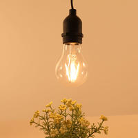 A60 LED Light Bulb 4W 2700K E27 Lamp Base