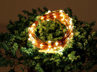 Led Strings Copper Wire 3XAA Battery Operated Christmas Wedding Party Decoration LED String Fairy Lights