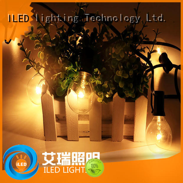 G40 Globe String Lights With Clear Bulbs Eu Standard Adapter Low G40 Globe String Lights With Clear